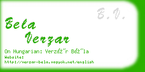 bela verzar business card